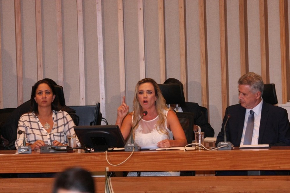 Leia mais sobre o artigo Câmara Legislativa: emenda da reeleição é articulada nos bastidores