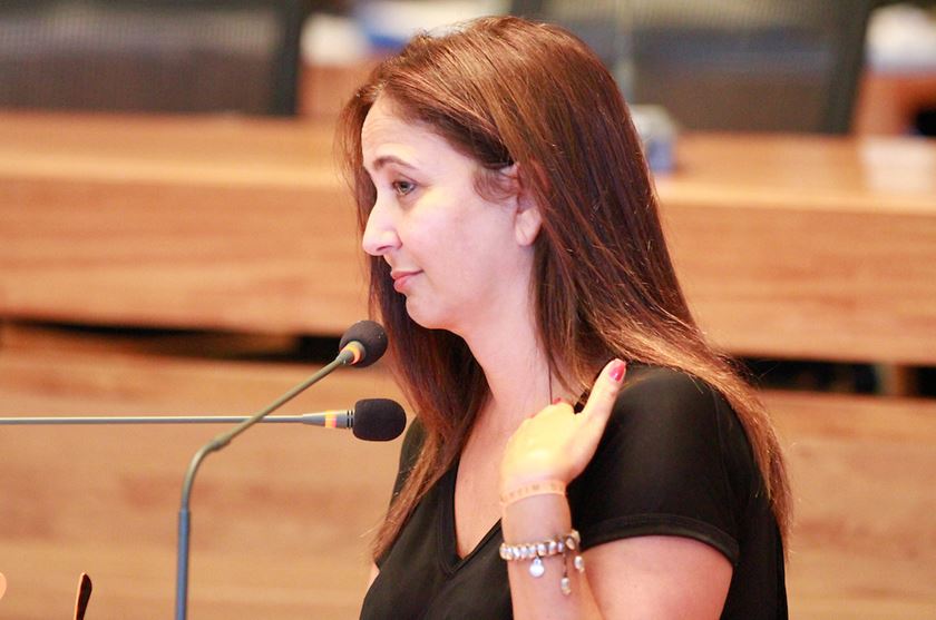 Leia mais sobre o artigo Câmara Legislativa recebe pedido de cassação contra Liliane Roriz