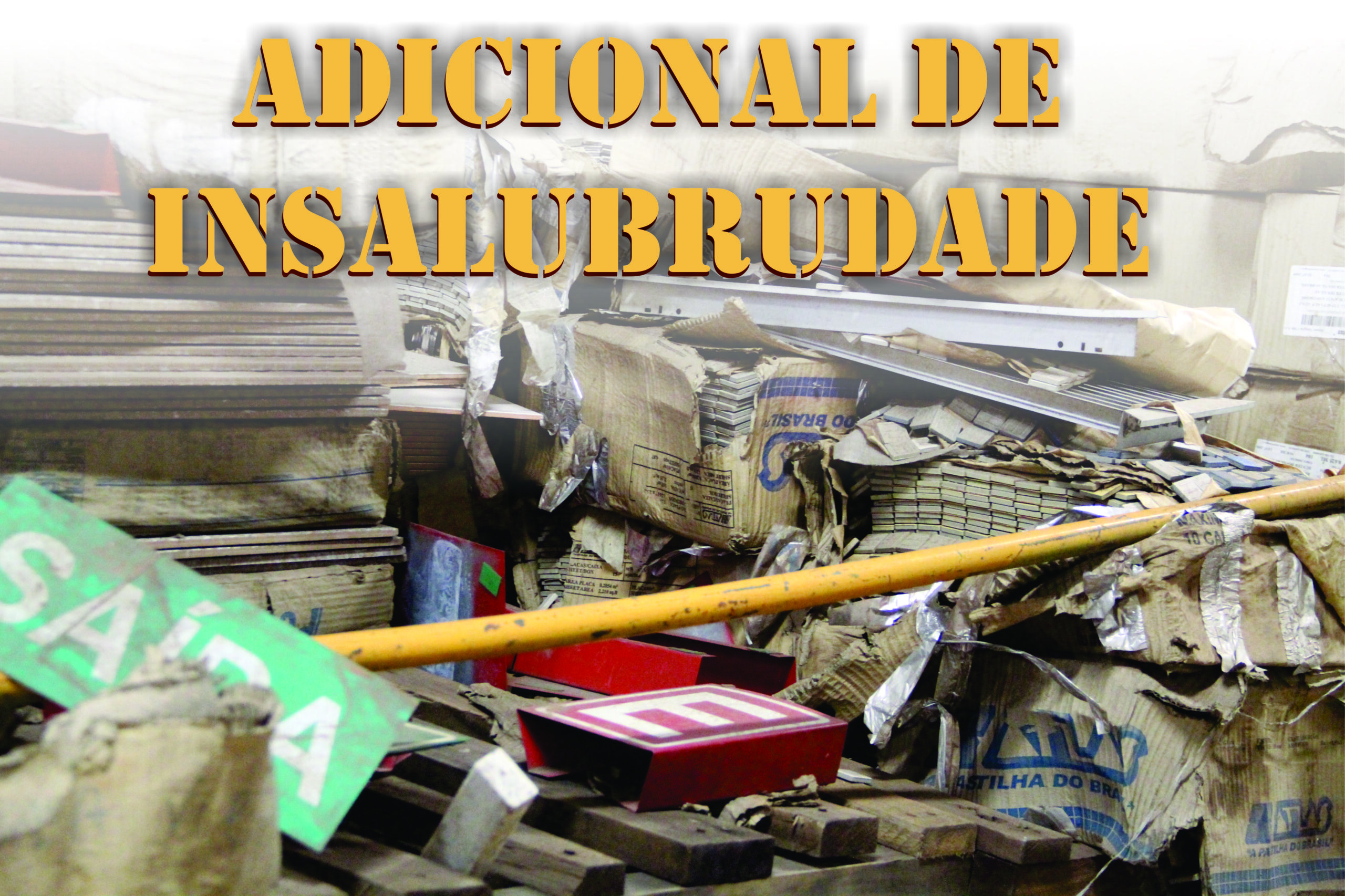Leia mais sobre o artigo REUNIÃO SOBRE  INSALUBRIDADE